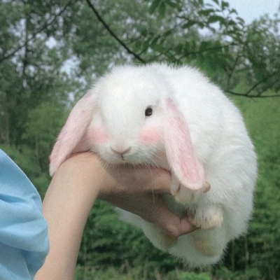 当下最火的情侣高清头像 共14张合集