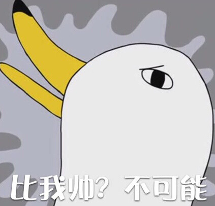 鸭子装逼表情包合集