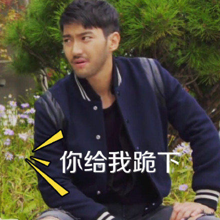 崔花表情包合集来啦 明星同款夸张表情随便用