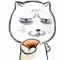 热门猥琐猫斗图表情合集