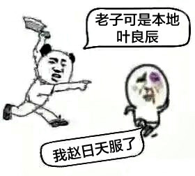 敢跟叶良辰这么搭话的，你还是头一个