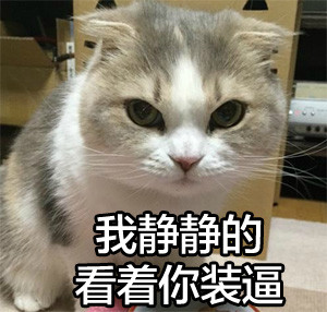 网友都在找的搞笑猫猫表情包合集