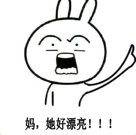 聊天斗图必备！恶搞兔搞笑表情包合集