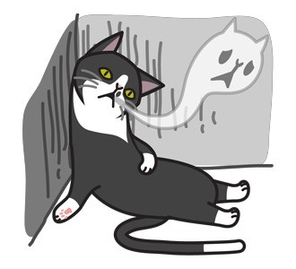 这款孤单黑猫表情包，戳中多少人的独处心事