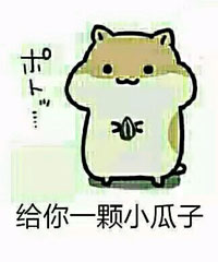 仓鼠掉瓜子表情包来啦！快用这套表情斗图