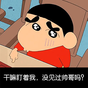 蜡笔小新无节操搞笑表情包合集