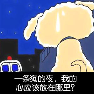 蜡笔小新无节操搞笑表情包合集