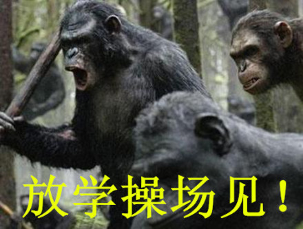 《猩球崛起》趣味表情包合集