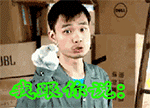 网友都在找的魔性张全蛋表情包合集