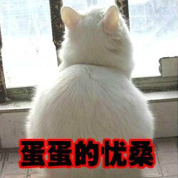 汪星人喵星人版！这套“蛋蛋的忧桑”表情包太戳人了