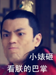 朕没看清楚，快把节操再丢一次 这套表情包你收好了