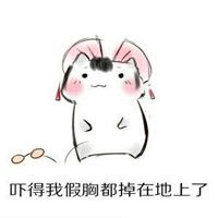 救命！这套仓鼠吓傻表情包太戳人了