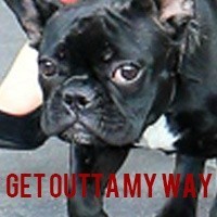 单身狗专属！这套英文版表情包太适配日常吐槽