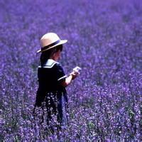 17张超治愈！带薰衣草的小姑娘女生头像合集