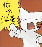 超治愈小萌猫表情包合集来啦