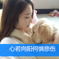 12张伤感又温柔的女生带字头像，配文“我只是个路人而已”
