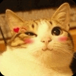 喵星人萌化你的心，赶紧来存表情包啦