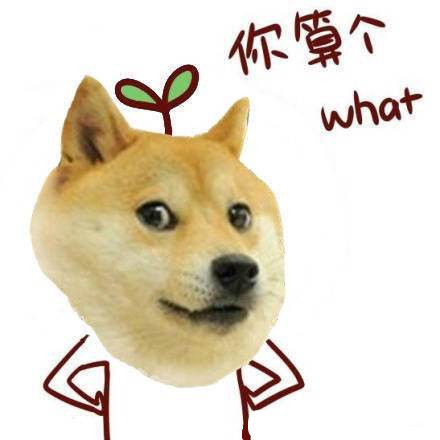 单身狗专属的拽拽表情包合集