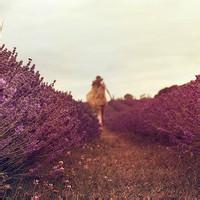 17张超治愈！带薰衣草的小姑娘女生头像合集