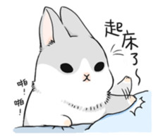 软萌几兔表情包来啦