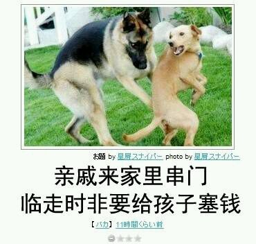 分享一组超有意思的日式冷吐槽表情包