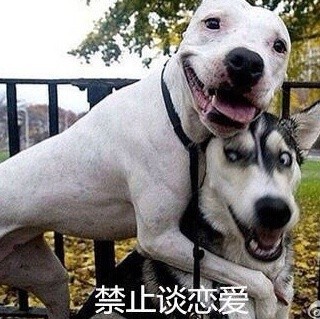 当年高中老师的口头禅，你还记得几句？