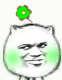 猥琐猫带小花的表情包合集