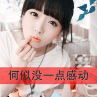 阿宝色带字女生头像 配文“爱我恨我别怕我”共48组