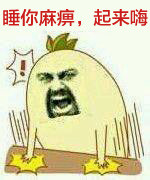 金馆长版“睡你麻痹起来嗨”表情包合集