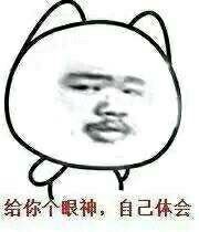 金馆长整活表情：我什么都看见了