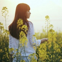 60张治愈系女生QQ头像 暖到心坎里的温柔头像合集