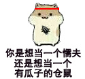 仓鼠掉瓜子表情包来啦！快用这套表情斗图