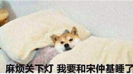 还没存到宋仲基表情包？赶紧来这找