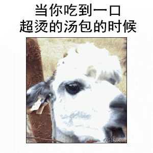 女朋友让你早点睡？这套汪喵表情包帮你精准get信号