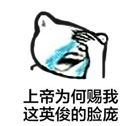 超好用的捂脸哭表情，斗图玩梗必备