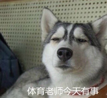 当年高中老师的口头禅，你还记得几句？