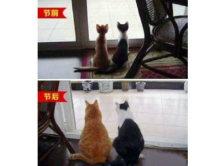 过年前后这套表情包，看完只想说“我真不想再看了”