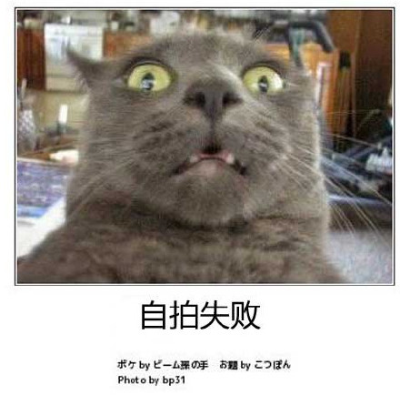 分享一组超有意思的日式冷吐槽表情包