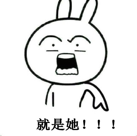 聊天斗图必备！恶搞兔搞笑表情包合集