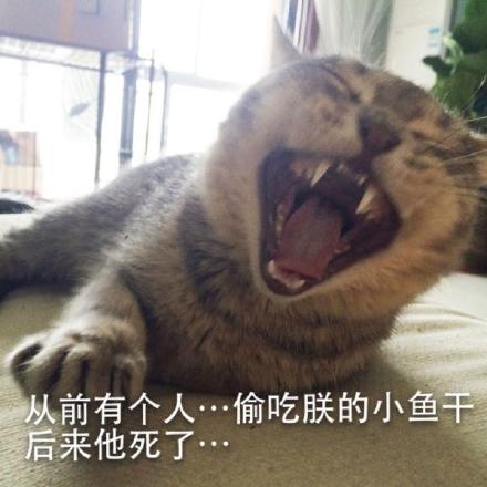 这套喵星人警察蜀黍表情包太逗了