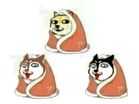 天气转冷单身狗变“雪橇犬”？这套梗表情包火了