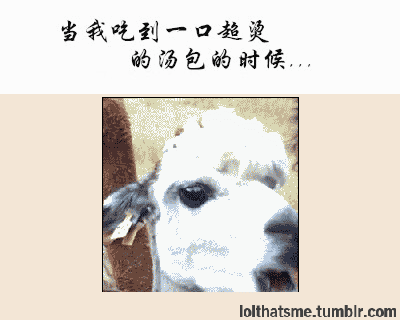 戳中无数人的“说起来都是泪”表情包合集