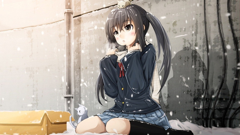 五等分的新娘中野家姐妹 萌系猫咪雪景壁纸合集