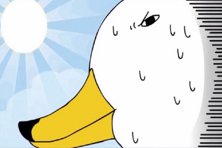 鸭子表情包合集来了 聊天斗图都能用