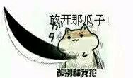 仓鼠掉瓜子表情包来啦！快用这套表情斗图