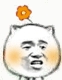 猥琐猫带小花的表情包合集