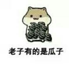 仓鼠掉瓜子表情包合集来了