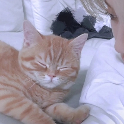 20组好看的情侣头像合集 直接就能自取