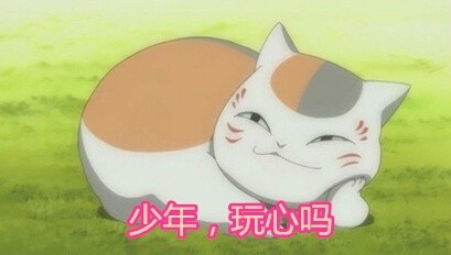 猫咪老师的可爱表情包来啦