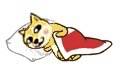 万能doge表情包合集上新啦
